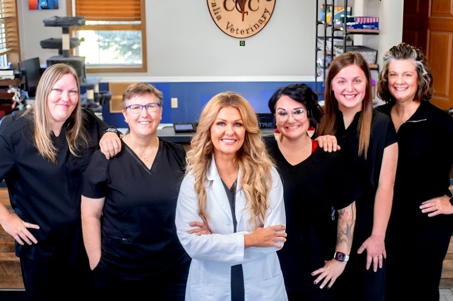 Centralia Veterinary Clinic Member Spotlight